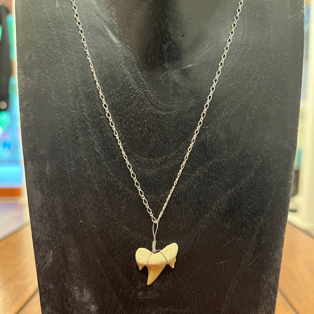 Silver Fossilized Shark Tooth Pendant Necklace